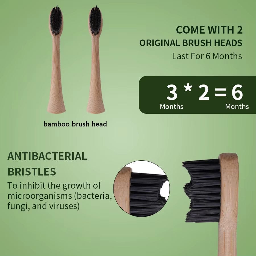 Biodegradable Electric Toothbrush Sustainable Bamboo Brush Head Castor Oil Bristles Bambu Wooden IPX7 Sonic Healthier Oral Teeth